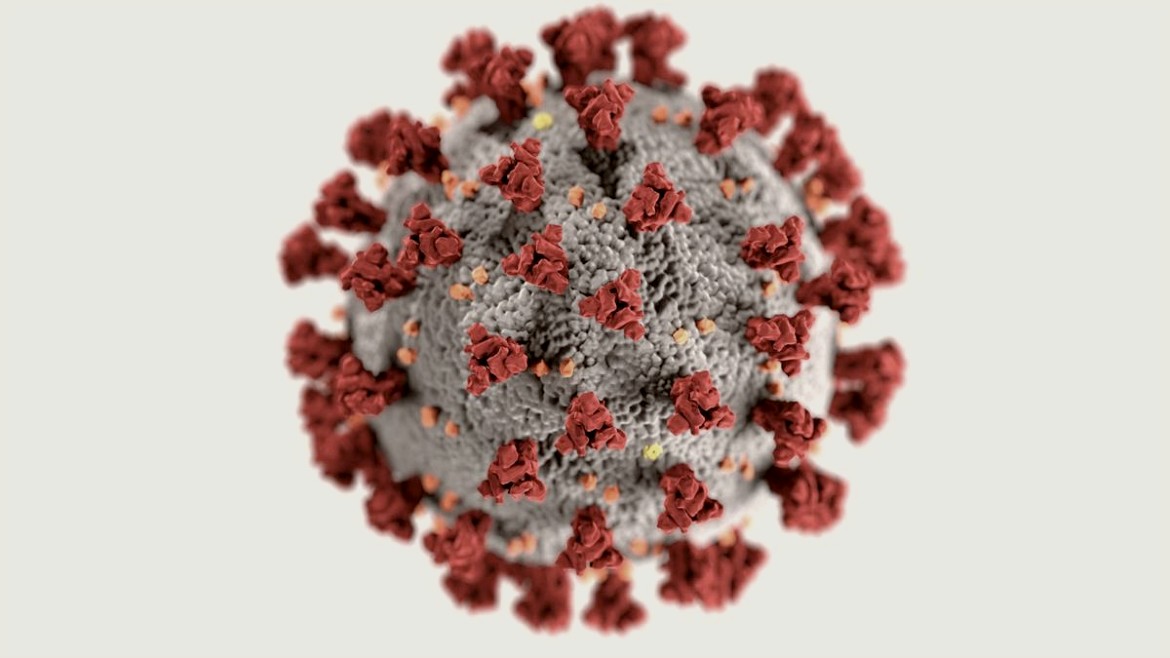 coronavirus- koronoios - WHO